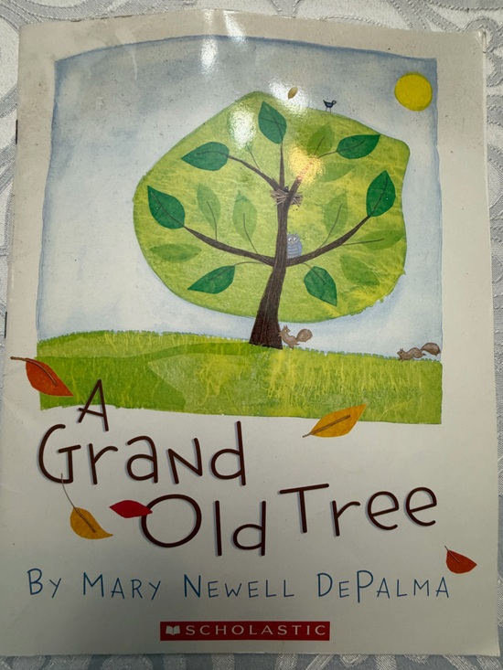 Scholastic Other - Scholastic A Grand Old Tree Children’s Picture Book